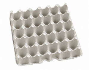 Plateaux alimentaires
